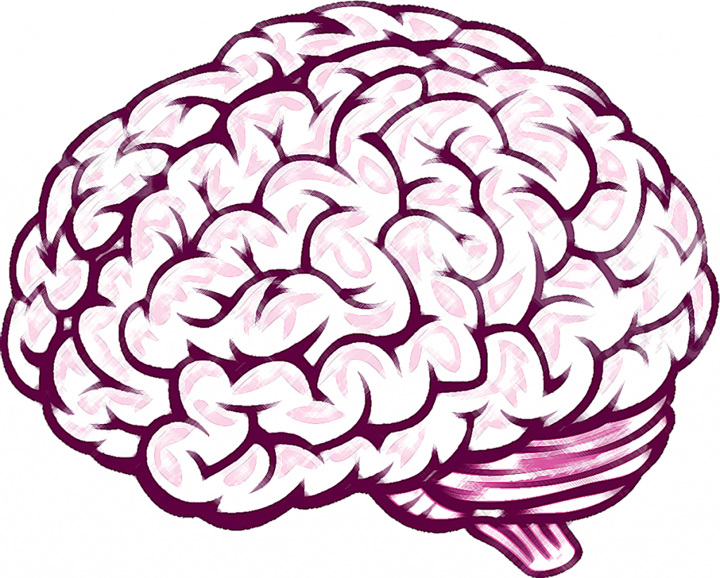 Simple Drawing Of A Brain - Drawing Art Collection