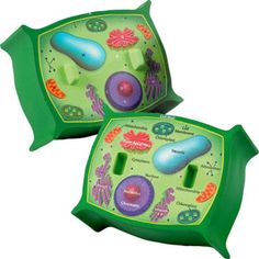 Animal cell, Black and white and Animals