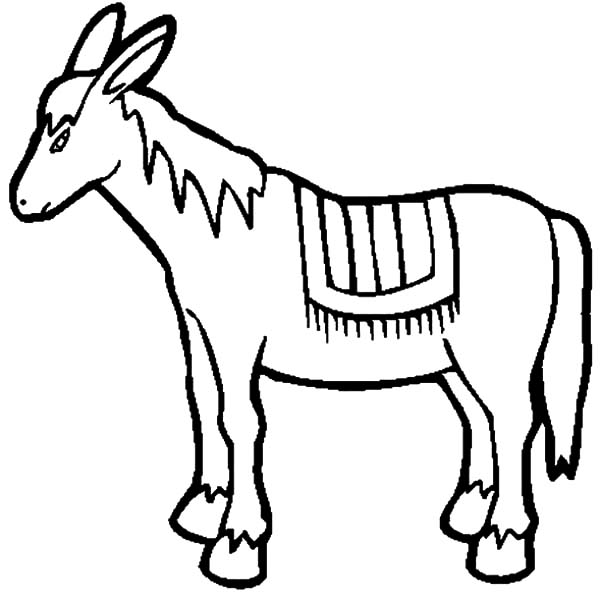 Drawing Mexican Donkey Coloring Pages | Color Luna