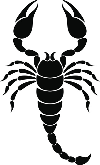 Scorpion Clip Art, Vector Images & Illustrations