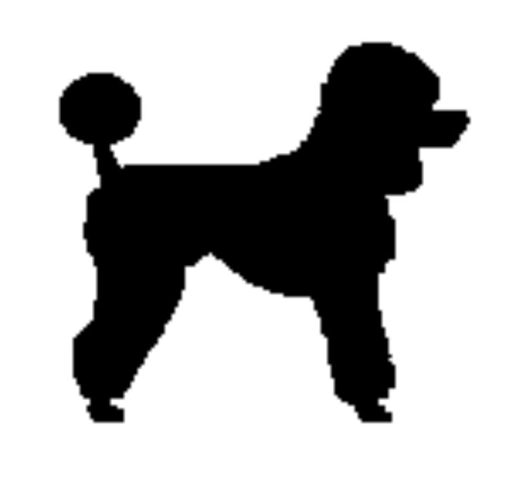 Poodle Clipart