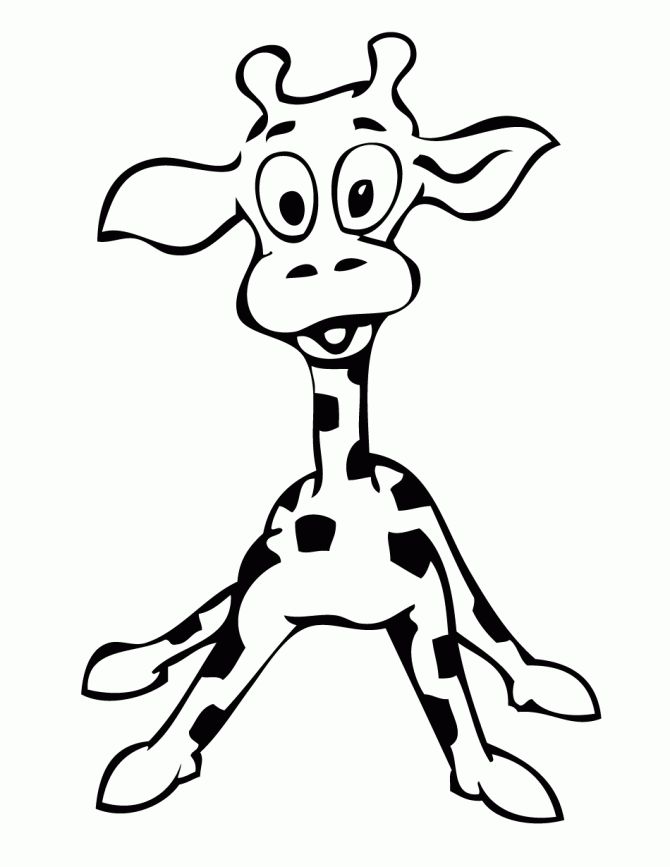 1000+ images about Girafas