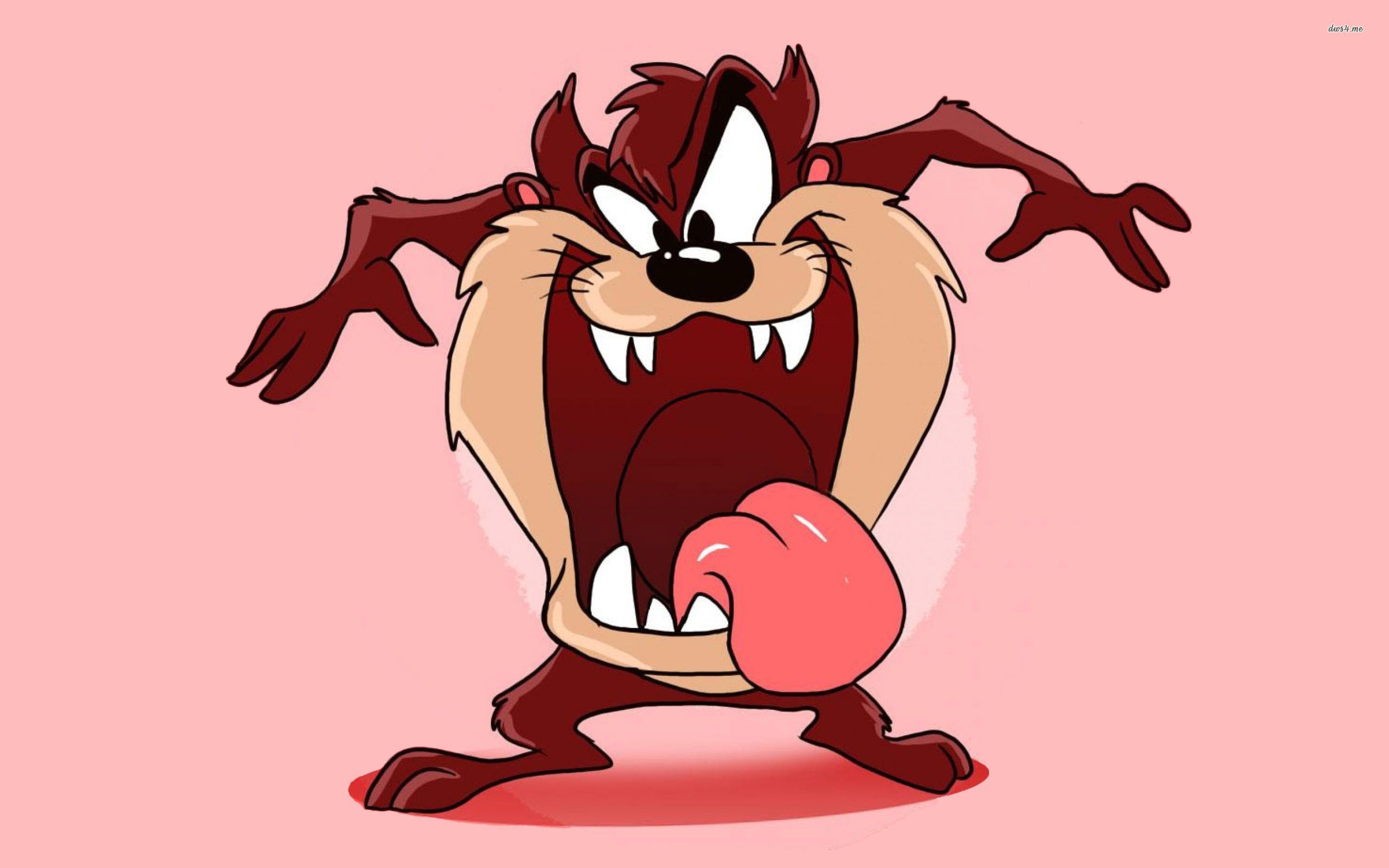 Tasmanian Devil