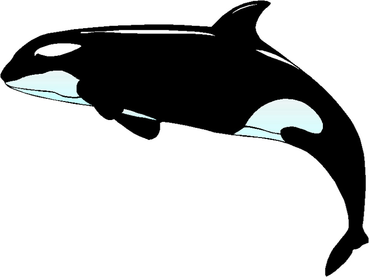 Orca Clip Art Clipart - Free to use Clip Art Resource