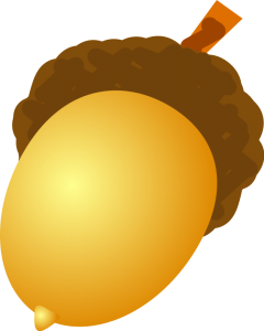 Cartoon Acorn Clip Art Download