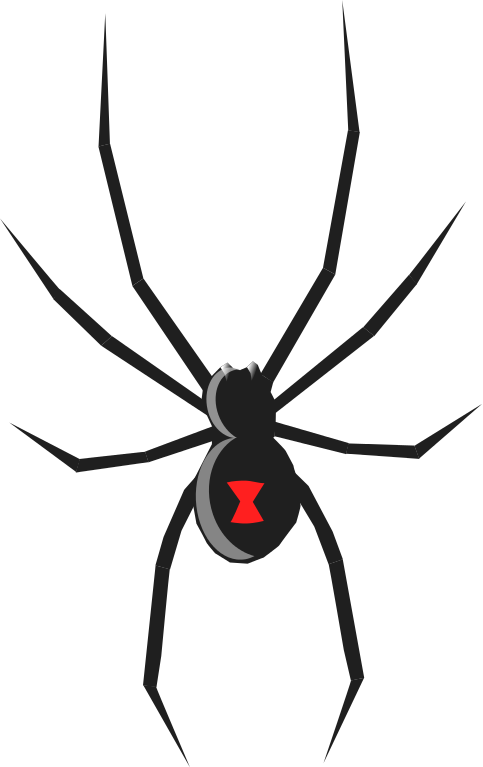 Free Spider Clip Art Pictures - Clipartix