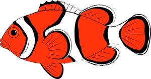 Clown Fish Clipart - Free Clipart Images