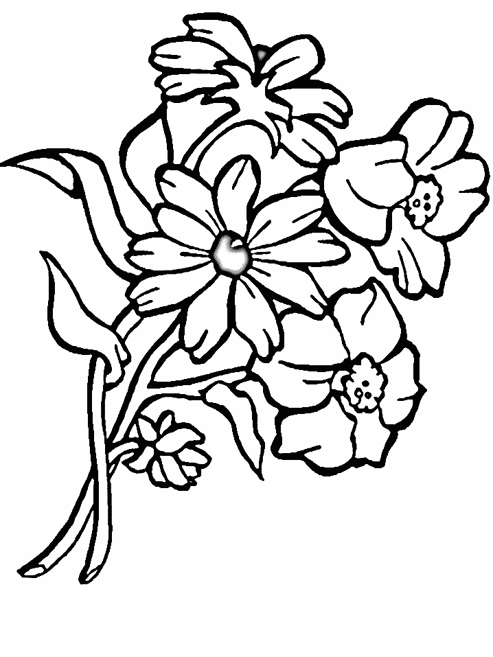 Coloring Pages Plus :: Animal Coloring