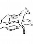 serval-on-a-tree-coloring-page.jpg