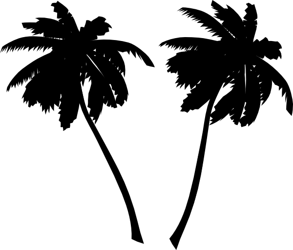 Free Palm Tree Vector