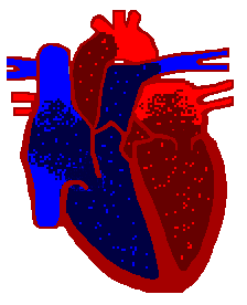 Animated Body Parts