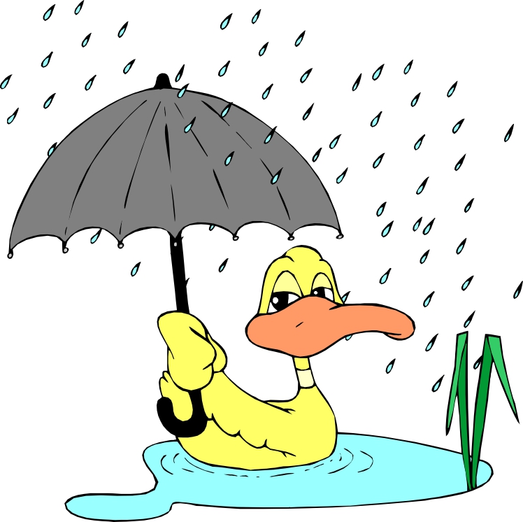 Cartoon Ducks | Page 4