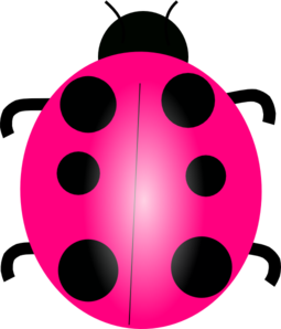 Pink Ladybug clip art - vector clip art online, royalty free ...