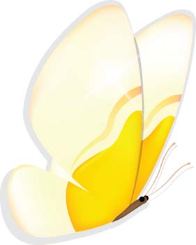 Butterfly pattern 1 vector Free Vector