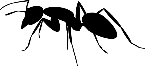 Ant vector silhouette | Public domain vectors