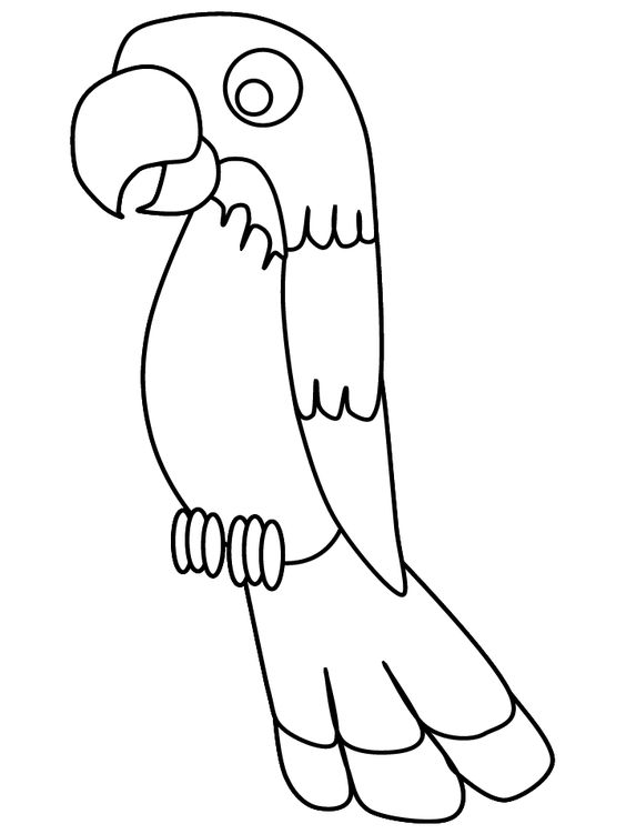 Coloring, Pirates and Parrots