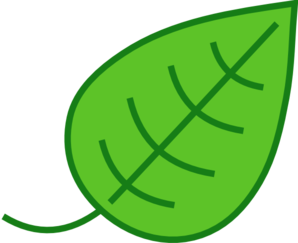 Green Leaf clip art - vector clip art online, royalty free ...