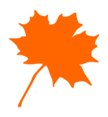 Canadian Maple Leaf Vector - Download 1,000 Vectors (Page 1)
