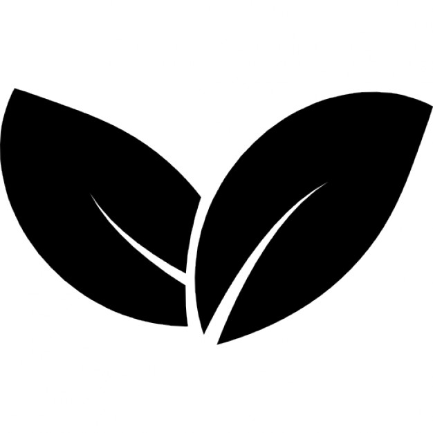 Two leaves Icons | Free Download