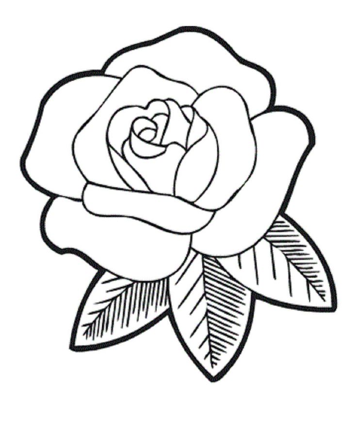 1000+ images about Flower Outlines