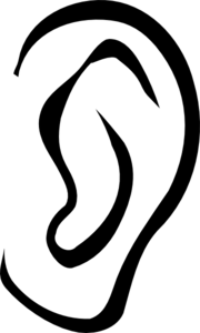 ear-bw-md.png