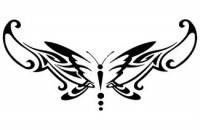 scroll tattooss 185 to 207 of 667 on Tattoora