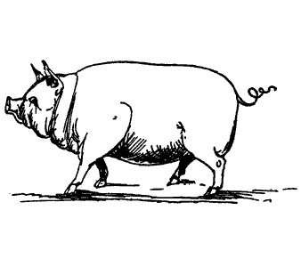 Laughable Lyrics by Edward Lear, 1894.