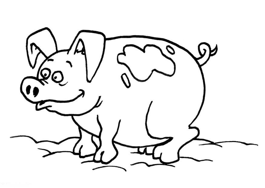 Pig Kids Cake Ideas and Designs