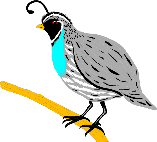 Cartoon Quail Quail Watercolor Triad