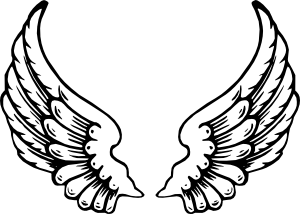 11954328501948365723PeterM_ ...