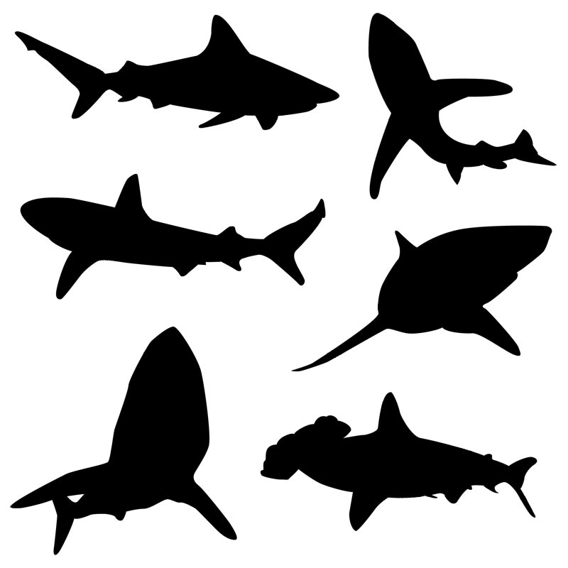 Shark silhouette clip art