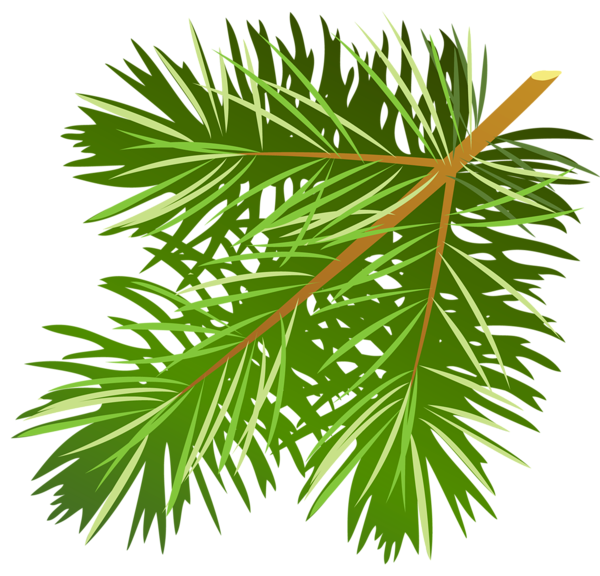 Gallery · Free Clipart Picture… Christmas PNG; Transparent Pine 