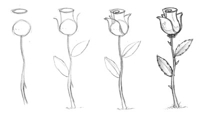 How to Draw a Rose Step by Step