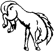 Running Horse Graphics - B&W
