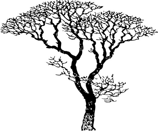 Black And White Tree Images