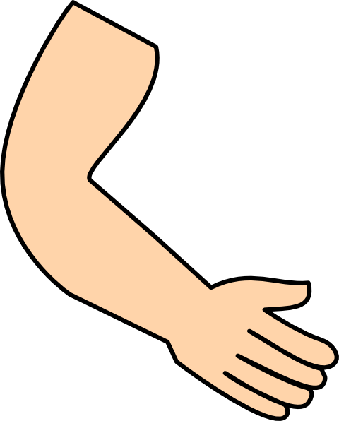Arm & Hand Clip Art - vector clip art online, royalty ...