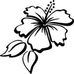 Hibiscus Flower Stickers | Hibiscus Flower Decals - Car Stickers