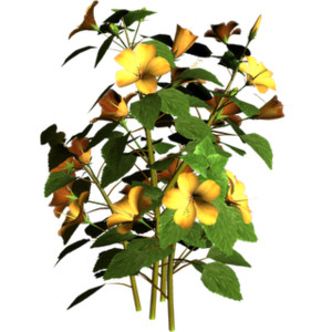 Free High Resolution graphics and clip art - Polyvore