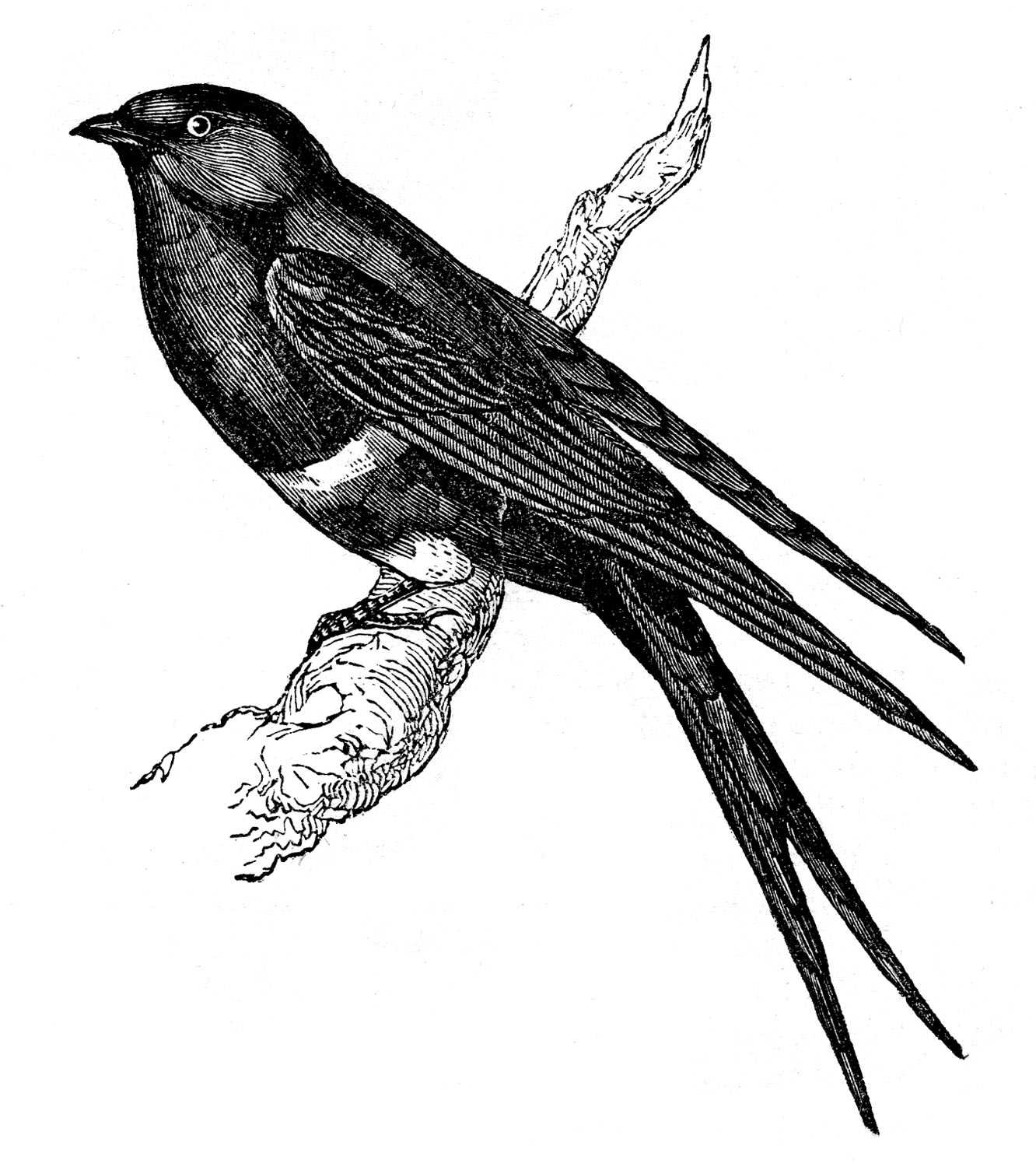 Annie Hamman Art » How I made “On My Way” painting