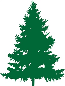 GRAPHICS-Trees & Leaves