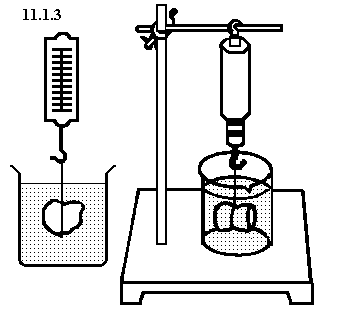 UNPh11