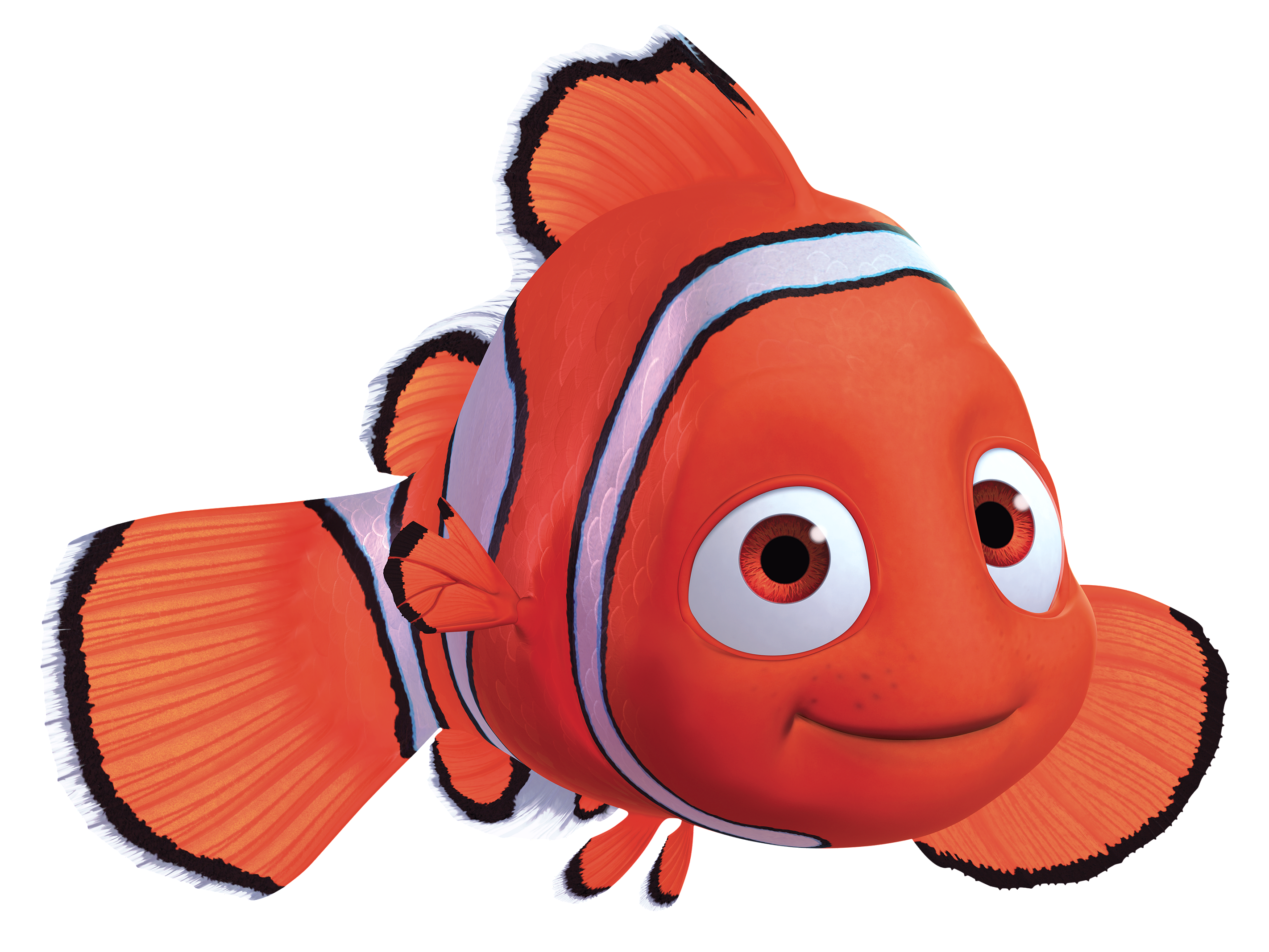 cute nemo fish wallpapers for desktop