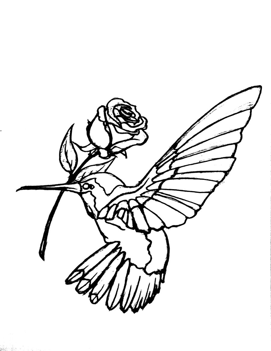 Hummingbird Tattoo