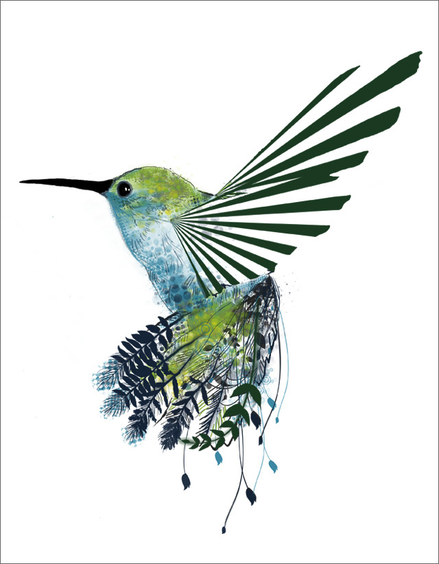 hummingbird sketches image search results