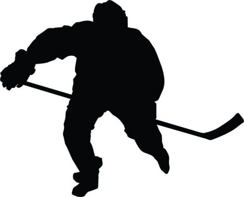 Hockey Silhouette - 18 : Custom Wall Decals, Wall Decal Art, and ...