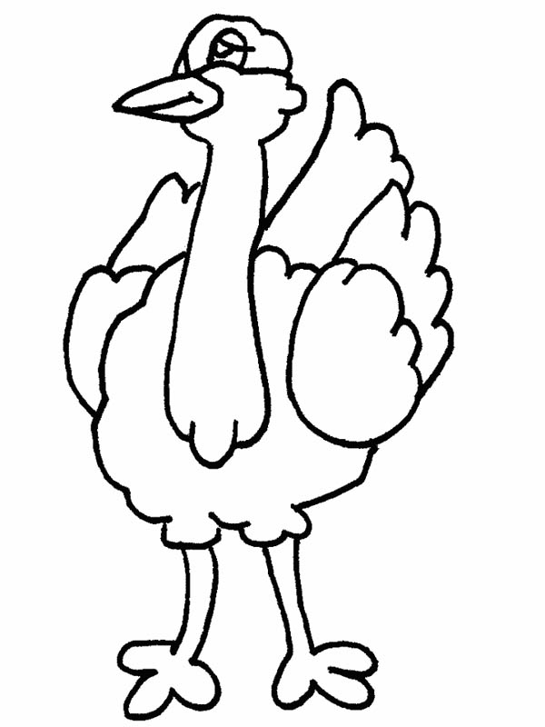 Ostrich Coloring Sheets - ClipArt Best