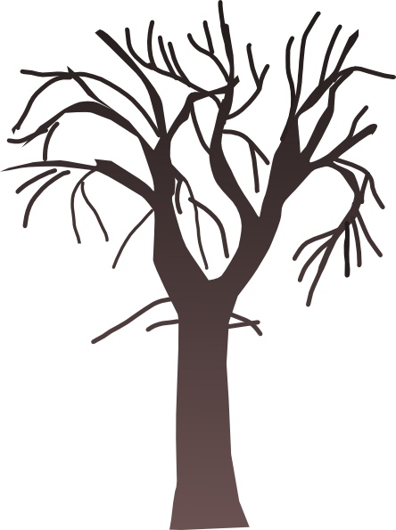 Bare Tree Images