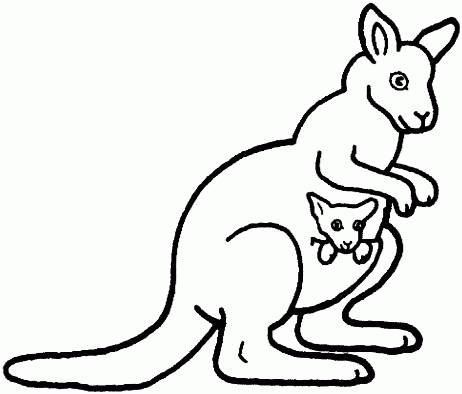 Kangaroo Pictures