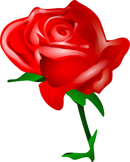 RED, PLANTS, FLOWER, FLOWERS, CARTOON, ROSE, TOMAS - Public Domain ...