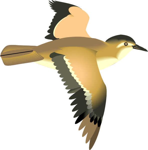 Cartoon Pictures Of Birds Flying